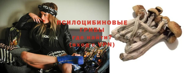 МДПВ Новодвинск