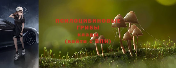 шишки Нея