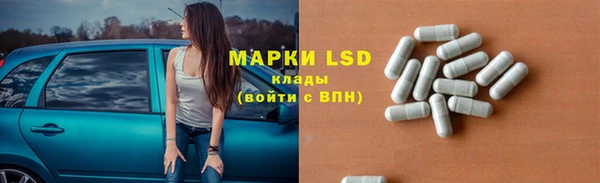шишки Нея
