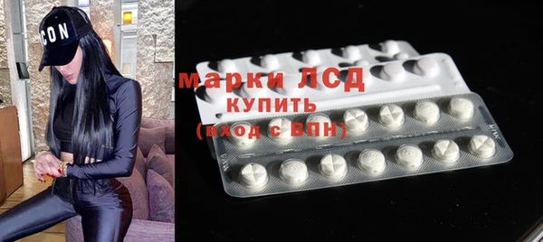 шишки Нея